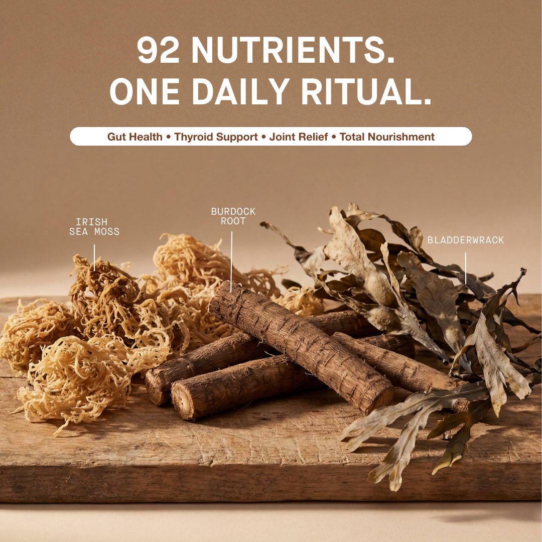 Organic Irish Sea Moss With Bladderwrack and Burdock Root - 45 Servings