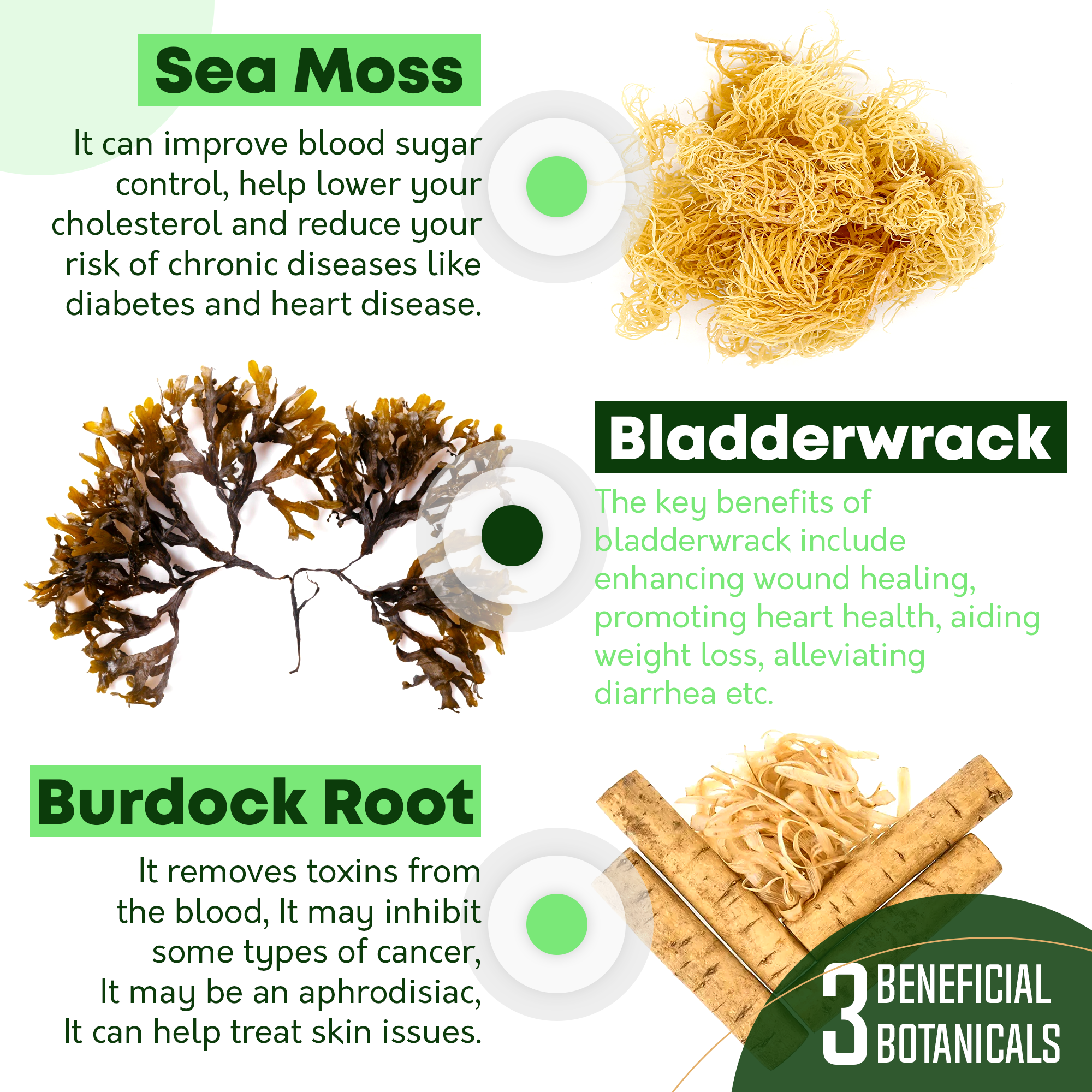 Organic Irish Sea Moss With Bladderwrack and Burdock Root - 45 Servings